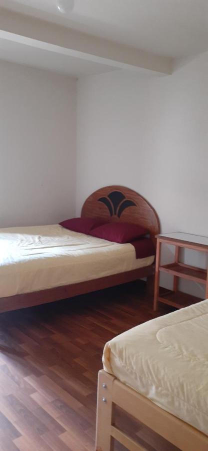 The Grasshopper Hostels Av Alta Cusco Eksteriør billede